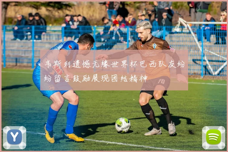 韦斯利遗憾无缘世界杯巴西队友纷纷留言鼓励展现团结精神