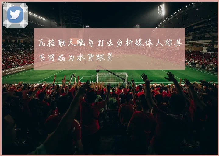 瓦格勒天赋与打法分析媒体人称其或将成为水货球员